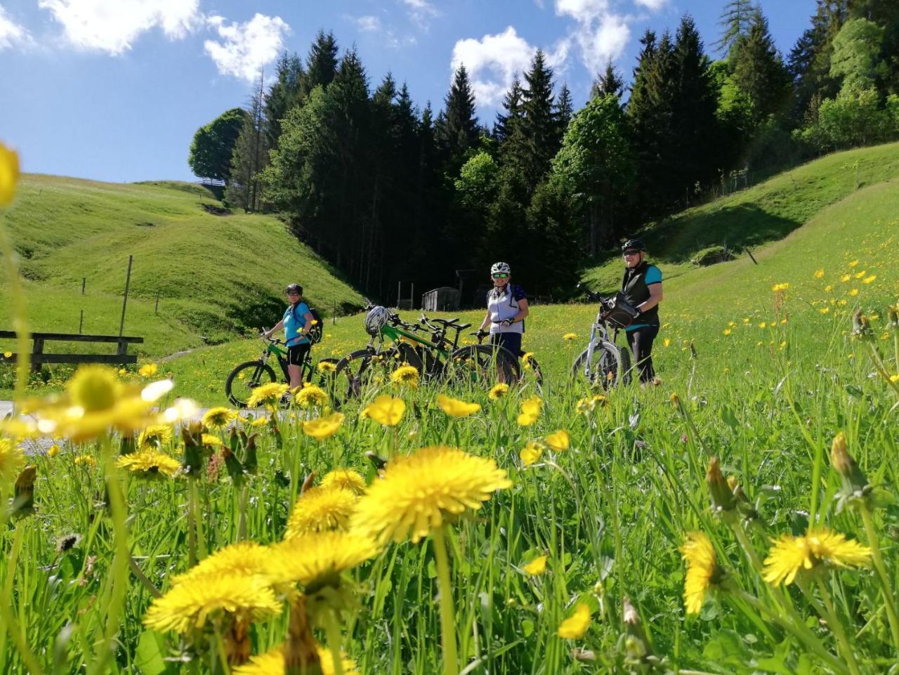 Pension Edelweiss Breitenbach am Inn Zewnętrze zdjęcie