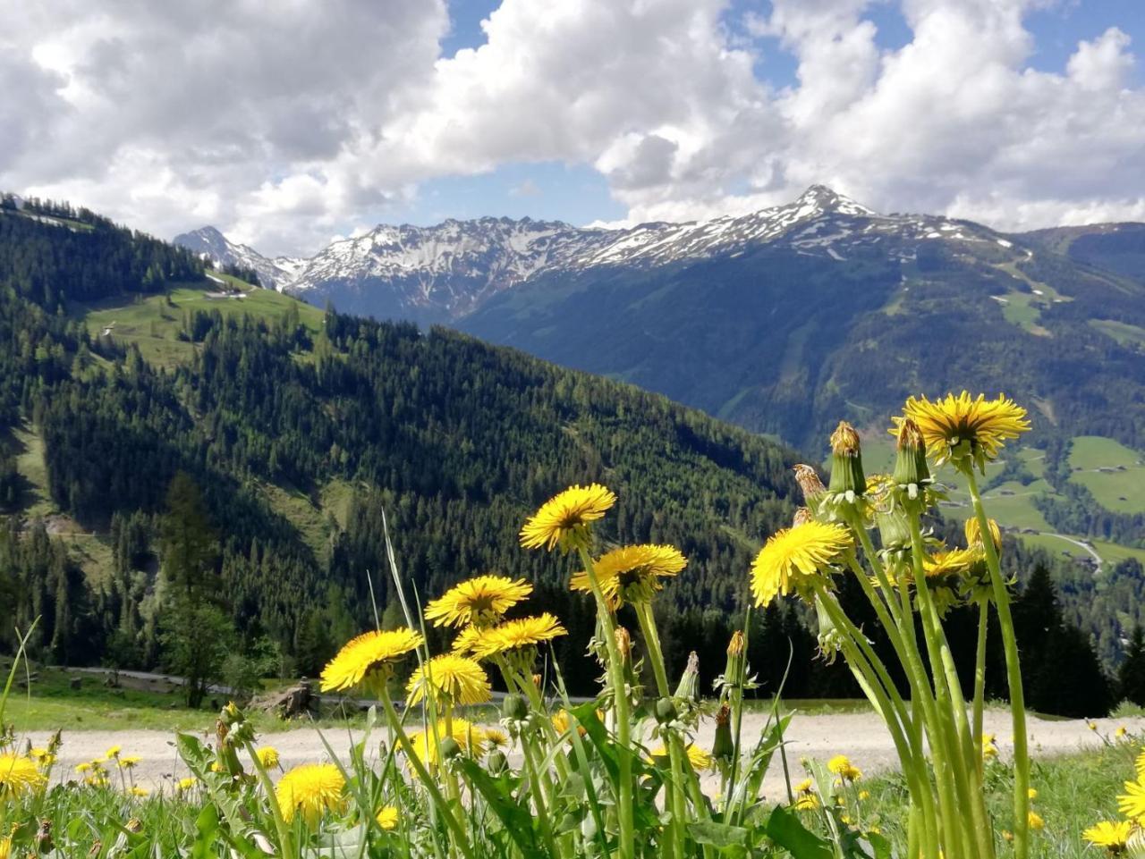 Pension Edelweiss Breitenbach am Inn Zewnętrze zdjęcie